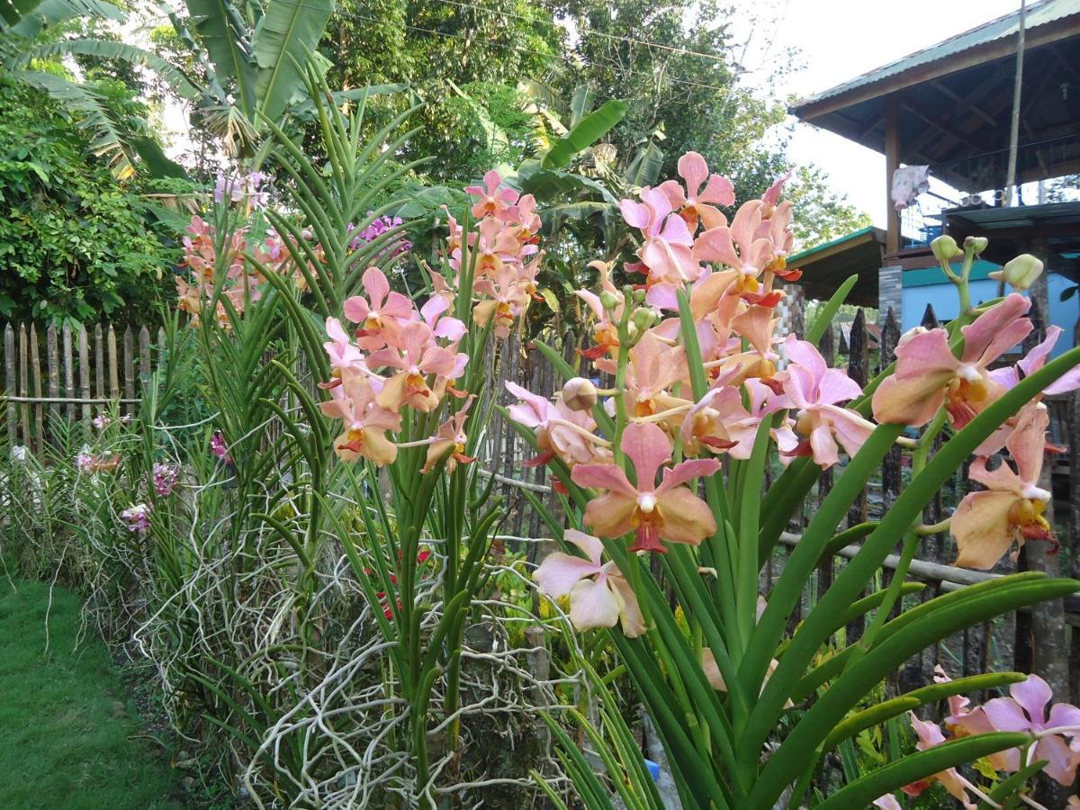 Lhoyjean Garden Hostel Batuan エクステリア 写真