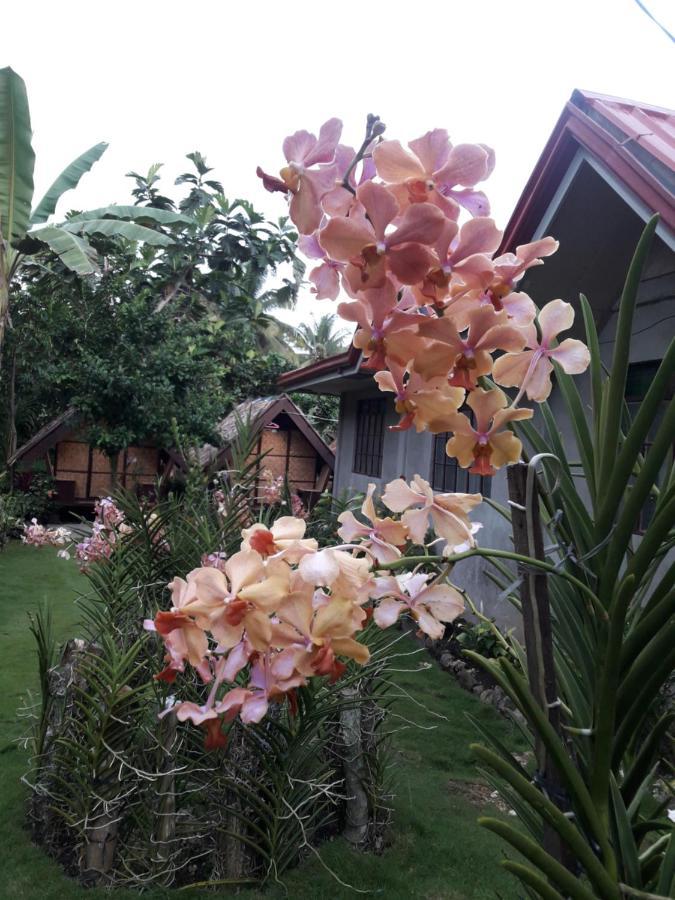 Lhoyjean Garden Hostel Batuan エクステリア 写真