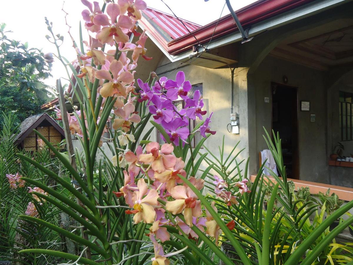Lhoyjean Garden Hostel Batuan エクステリア 写真